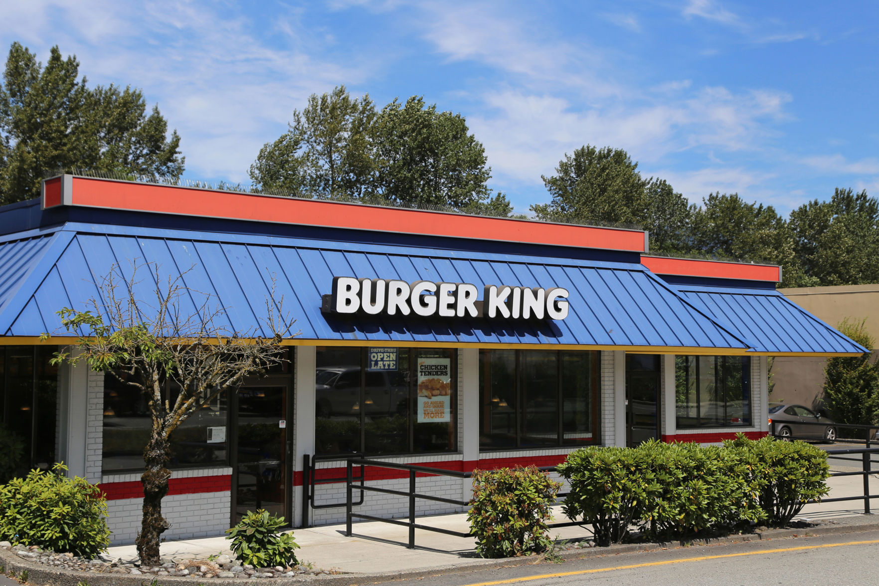 Burger King's veggie burger